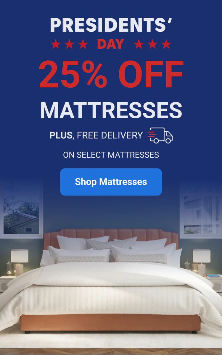 President's day sale 25% off