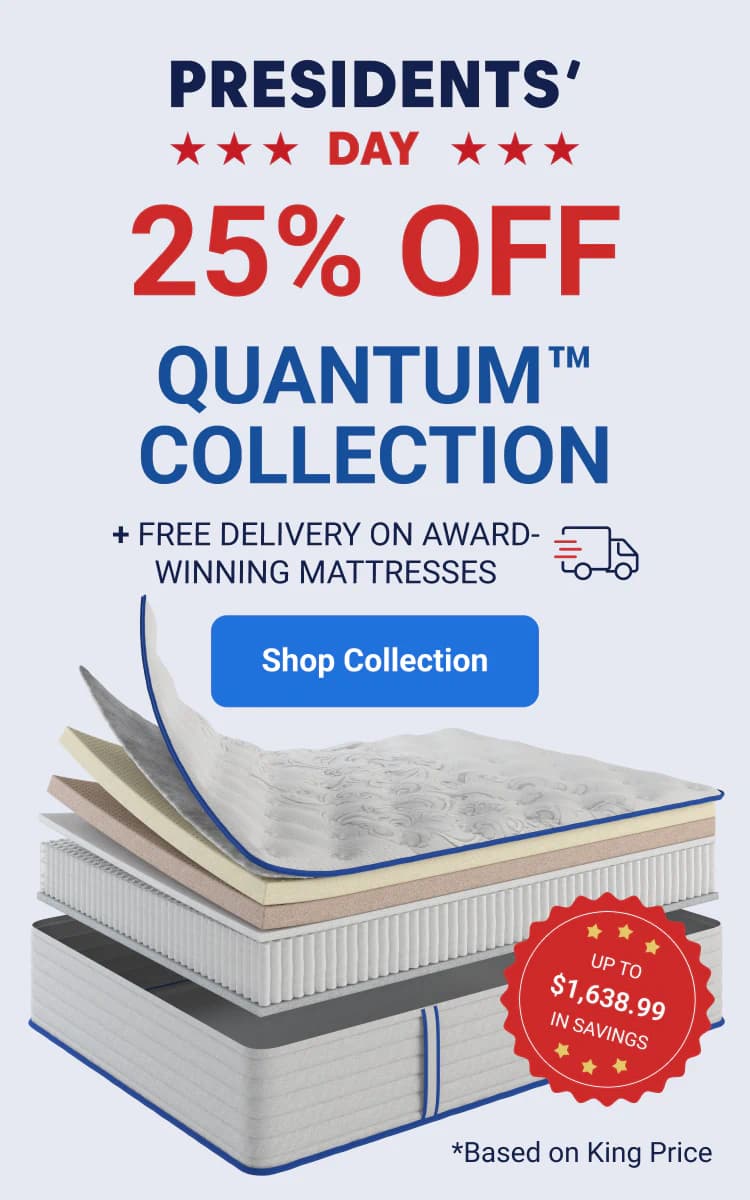 President's day sale 25% off