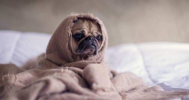 Best Mattresses for Cold Sleepers