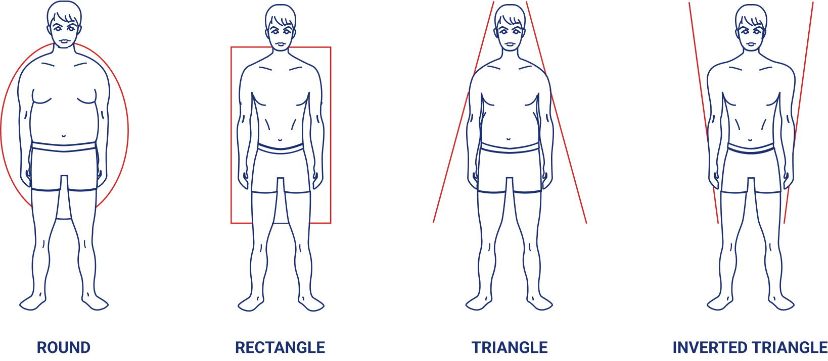 body type illustrations